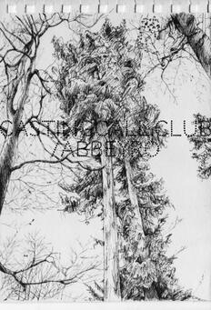 Trees drawn with ink.